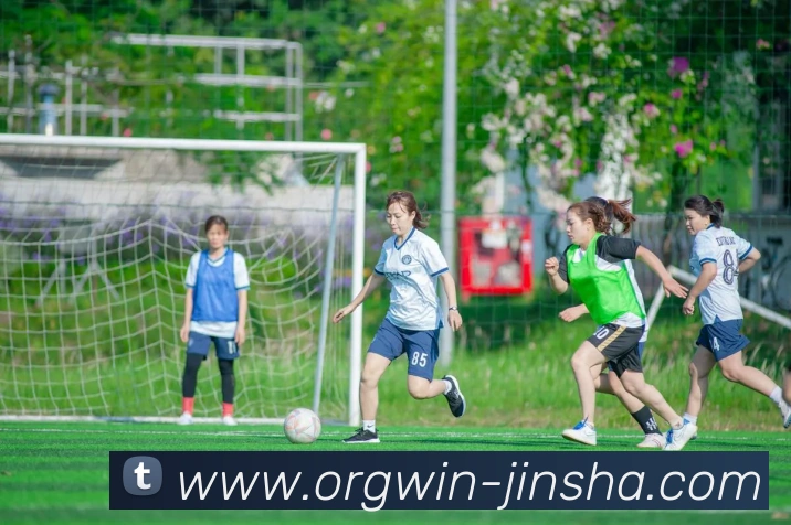 金沙娱乐城发展历程